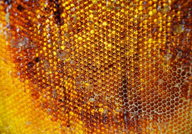 Altın nektarla doldurulmuş altıgen bal peteklerinden bir damla bal damlıyor. Bal peteği yaz kompozisyonu. Doğal bal damlası, balmumu çerçeveli arı damlası. Bal damlası bal damlatıyor bal peteğine.