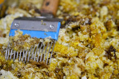 Soyut altıgen yapısı altın bal dolu arı kovanından bal peteği. Bal peteği yaz kompozisyonu arı köyünden yapışkan bal içerir. Arıların kırsal bal petekleri taşraya.