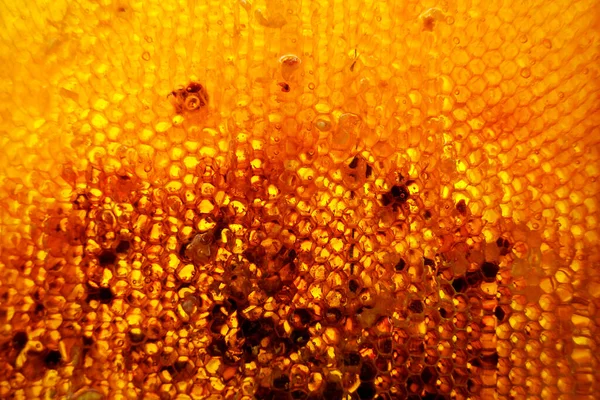 Gota Mel Abelha Gotejamento Favos Mel Hexagonais Cheios Néctar Dourado — Fotografia de Stock