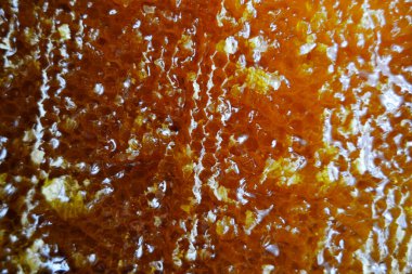 Altın nektarla doldurulmuş altıgen bal peteklerinden bir damla bal damlıyor. Bal peteği yaz kompozisyonu. Doğal bal damlası, balmumu çerçeveli arı damlası. Bal damlası bal damlatıyor bal peteğine.