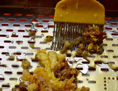 Altın nektarla doldurulmuş altıgen bal peteklerinden bir damla bal damlıyor. Bal peteği yaz kompozisyonu. Doğal bal damlası, balmumu çerçeveli arı damlası. Bal damlası bal damlatıyor bal peteğine.