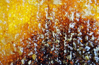 Altın nektarla doldurulmuş altıgen bal peteklerinden bir damla bal damlıyor. Bal peteği yaz kompozisyonu. Doğal bal damlası, balmumu çerçeveli arı damlası. Bal damlası bal damlatıyor bal peteğine.