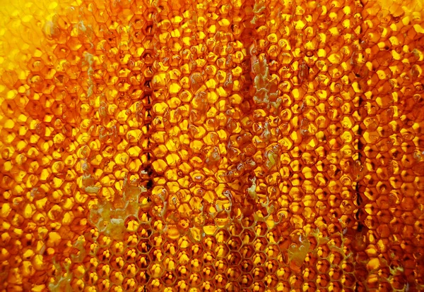 Drop Bee Honey Drip Hexagonal Honeycombs Filled Golden Nectar Honeycombs — Stock Photo, Image