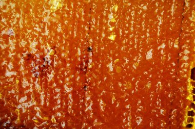 Altın nektarla doldurulmuş altıgen bal peteklerinden bir damla bal damlıyor. Bal peteği yaz kompozisyonu. Doğal bal damlası, balmumu çerçeveli arı damlası. Bal damlası bal damlatıyor bal peteğine.