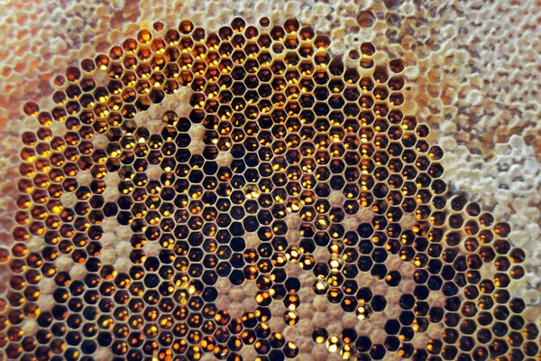 Drop Bee Honey Drip Hexagonal Honeycombs Filled Golden Nectar Honeycombs — Stock Photo, Image