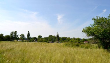 Doğal renklere sahip köy çayırında güzel bir ufuk manzarası. Ufuk manzarasından oluşan fotoğrafçılık, çayırdaki Meadow Village 'da. Horizon Doğa Manzarası Köy Çayırı Hayvanlar İçin.