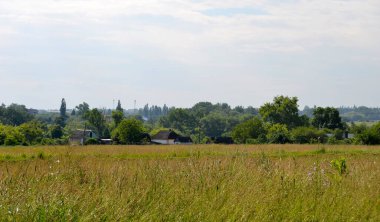 Doğal renklere sahip köy çayırında güzel bir ufuk manzarası. Ufuk manzarasından oluşan fotoğrafçılık, çayırdaki Meadow Village 'da. Horizon Doğa Manzarası Köy Çayırı Hayvanlar İçin.