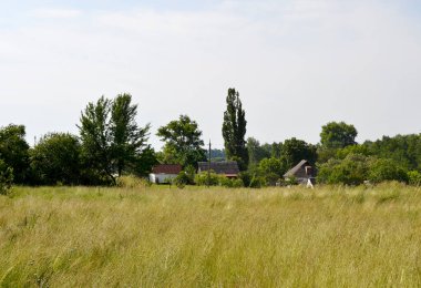 Doğal renklere sahip köy çayırında güzel bir ufuk manzarası. Ufuk manzarasından oluşan fotoğrafçılık, çayırdaki Meadow Village 'da. Horizon Doğa Manzarası Köy Çayırı Hayvanlar İçin.