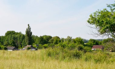 Doğal renklere sahip köy çayırında güzel bir ufuk manzarası. Ufuk manzarasından oluşan fotoğrafçılık, çayırdaki Meadow Village 'da. Horizon Doğa Manzarası Köy Çayırı Hayvanlar İçin.