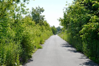 Renkli arka planda, kırsal alanda güzel boş asfalt yol. Fotoğrafçılık, kırsal kesimden geçen yeni boş asfalt yolu içeriyor. Yeşillik kırsalında hız aracı için boş asfalt yol
