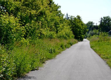 Renkli arka planda, kırsal alanda güzel boş asfalt yol. Fotoğrafçılık, kırsal kesimden geçen yeni boş asfalt yolu içeriyor. Yeşillik kırsalında hız aracı için boş asfalt yol