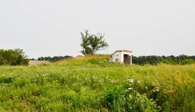 Doğal arka planda terk edilmiş güzel bir çiftlik evi. Fotoğraf, yabani otların oradaki terk edilmiş çiftlik evinden oluşuyor. Gökyüzünde terk edilmiş eski bir çiftlik evi..