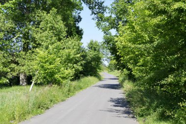 Renkli arka planda, kırsal alanda güzel boş asfalt yol. Fotoğrafçılık, kırsal kesimden geçen yeni boş asfalt yolu içeriyor. Yeşillik kırsalında hız aracı için boş asfalt yol