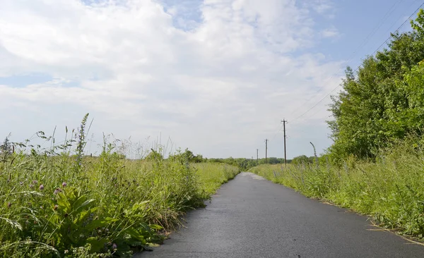 Schöne Leere Asphaltstraße Der Landschaft Auf Farbigem Hintergrund Fotografie Bestehend — Stockfoto