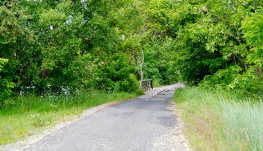 Renkli arka planda nehrin üzerinde güzel duran ahşap bir köprü. Fotoğraf, nehrin yukarısındaki eski ahşap köprüden oluşuyor. Doğal park için nehirdeki eski ahşap köprü..