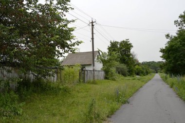 Doğal arka planda terk edilmiş güzel bir çiftlik evi. Fotoğraf, yabani otların oradaki terk edilmiş çiftlik evinden oluşuyor. Gökyüzünde terk edilmiş eski bir çiftlik evi..
