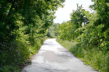 Renkli arka planda, kırsal alanda güzel boş asfalt yol. Fotoğrafçılık, kırsal kesimden geçen yeni boş asfalt yolu içeriyor. Yeşillik kırsalında hız aracı için boş asfalt yol