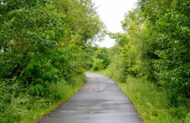Renkli arka planda, kırsal alanda güzel boş asfalt yol. Fotoğrafçılık, kırsal kesimden geçen yeni boş asfalt yolu içeriyor. Yeşillik kırsalında hız aracı için boş asfalt yol