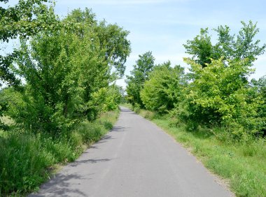 Renkli arka planda, kırsal alanda güzel boş asfalt yol. Fotoğrafçılık, kırsal kesimden geçen yeni boş asfalt yolu içeriyor. Yeşillik kırsalında hız aracı için boş asfalt yol