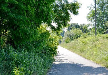 Renkli arka planda, kırsal alanda güzel boş asfalt yol. Fotoğrafçılık, kırsal kesimden geçen yeni boş asfalt yolu içeriyor. Yeşillik kırsalında hız aracı için boş asfalt yol