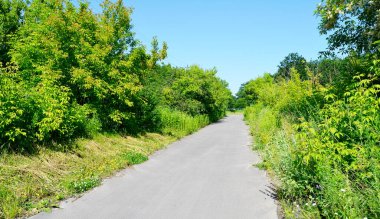 Renkli arka planda, kırsal alanda güzel boş asfalt yol. Fotoğrafçılık, kırsal kesimden geçen yeni boş asfalt yolu içeriyor. Yeşillik kırsalında hız aracı için boş asfalt yol