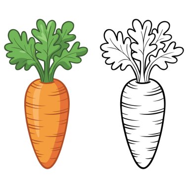 Renklendirme sayfaları için havuç ve sebze çizimi