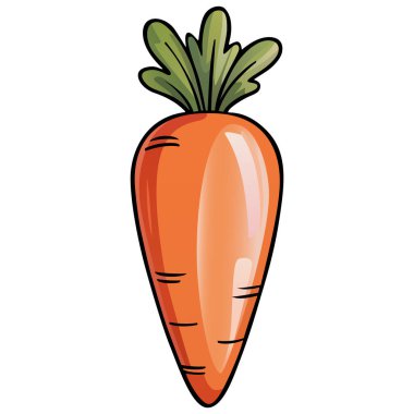 Yeşil yapraklı parlak turuncu havuç.