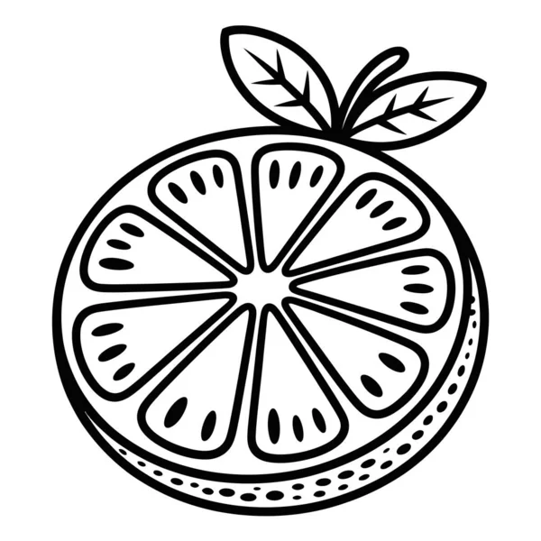 Citrus Portakal Dilimi Özet Simgesi