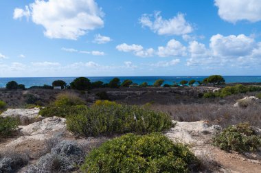 A peaceful and serene coastal landscape showcases vibrant greenery set against a stunning backdrop of azure blue waters