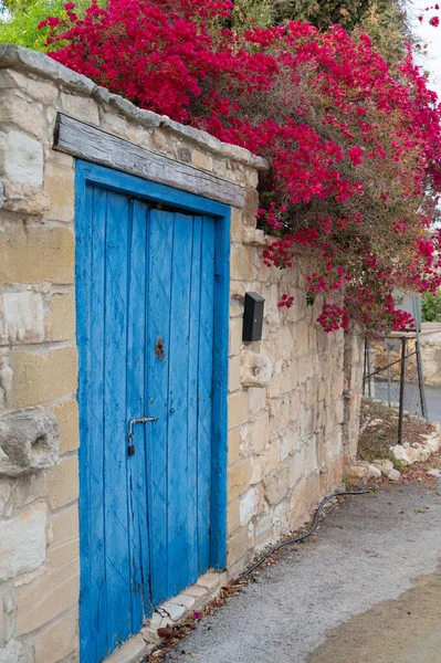 Büyüleyici bir çerçevenin içinde canlı mavi bir kapı güzel bir taş duvara karşı serili.