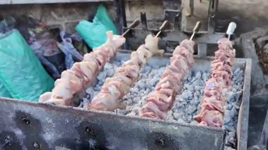 Sulu et şişleri, lezzetli bir barbekü deneyimi için ustalıkla hazırlanmış sıcak kömürle ızgara yapıyor.