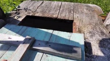 Eski beton kuyu örtüsü, güneş ışığında çimen çevresi, metal destekli mavi boyanmış ahşap kapak, insan derin dairesel şaftı ortaya çıkarmak için kalas kaldırıyor.