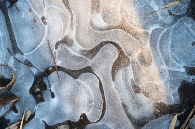 İzlanda güneşli buzlu yüzeyi, akan şablonlar ve altın röflonlar, narin don hatları ve şeffaf derinin altında sıkışmış sazlıklar yumuşak mavi