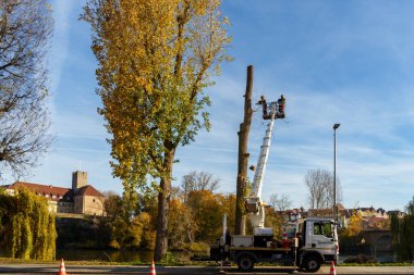 Lauffen am Neckar Almanya 'da halka açık bir caddede ağaç kesme çalışmalarının editörlük görüntüsü. Belediye çalışanları uzun ağaçları budamak için vinç kullanıyorlar..
