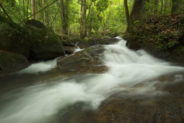 Şelale orman içinde kaya ile.