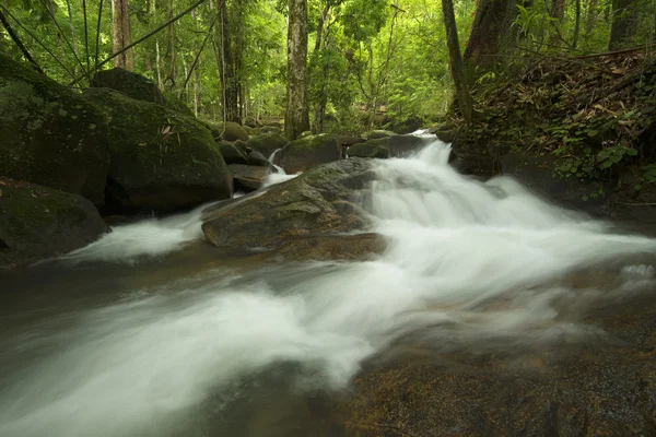 Şelale orman içinde kaya ile.