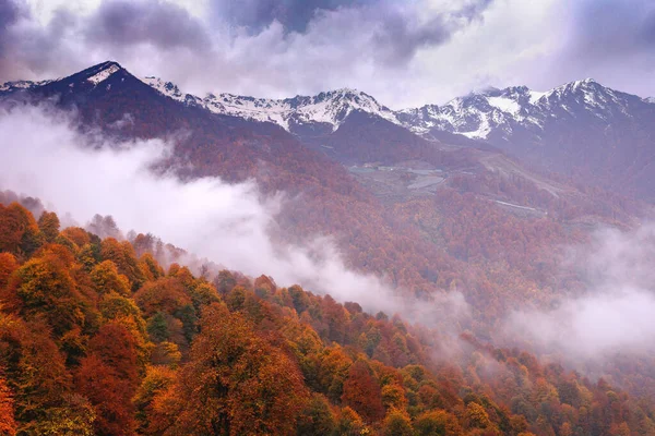 Alpes Belle Vue Sur Les Montagnes — Photo