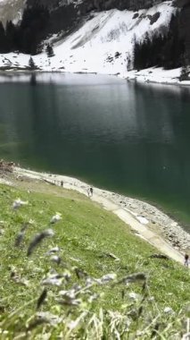 Bir grup yürüyüşçü yeşil çimenler ve karlı dağlarla çevrili sakin bir göl boyunca yürür. Temiz su manzarayı çok güzel yansıtıyor..