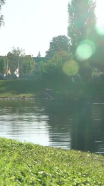 Güneşli bir günde huzurlu bir nehir manzarasının tadını çıkar. Sakin su, dalgalı yeşilliği ve dalgalanan bayrakları yansıtıyor. Huzurlu bir atmosfer yaratıyor..