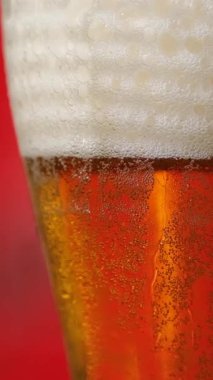 Altın bira, mükemmel bir köpükle kaplı, temiz bir bardağı doldurur. Su kabarcıkları kabarcıklar yükselir ve canlı bir arka plan karşısında sergilenir..