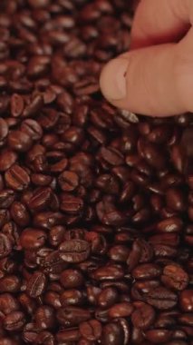 Tutkulu kahve severler taze kavrulmuş kahve çekirdeklerinin çeşitli aromalarını ve aromalarını canlı bir tatma oturumunda keşfeder, demlenmenin karmaşıklığını keşfeder..