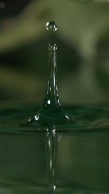 Bir su damlası sakin bir yüzeye düşer ve su boyunca genişleyen büyüleyici dalgalanmalar yaratır. Barışçıl atmosfer bu doğal oluşumun güzelliğini arttırır..