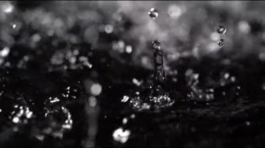 Yağmur damlaları karanlık bir su havuzuna çarpar, dalgalanmalar ve sıçramalar yaratır. Hava kasvetli ve yağmur yağmaya devam ederken atmosfer sakin ve sakin..