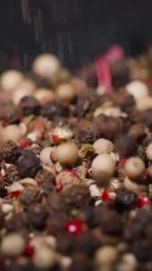 Renkli bir baharat dizisinin, çeşitli şekil ve renkleri gösteren yakın çekim görüntüsünü izleyin. Bu görsel deneyim, doğal malzemelerin güzelliğini vurgular..