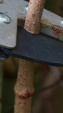 Keskin bahçe makasları kalın dalları keserek bitkilerde sağlıklı büyümeyi teşvik eder. Dikkatli budama bahçenin genel sağlığını ve görünümünü güçlendirir.