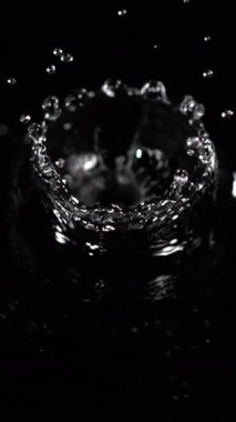 Su damlacıkları çarpıcı bir taç oluşturmak için çarpıcı bir şekilde su sıçratır. Karanlık bir arka plan karşısında, akışkan hareketin ve ışık yansımasının güzelliğini gözler önüne serer..