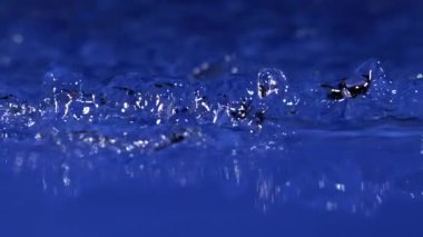 Gün batımının yumuşak ışığını yansıtan hafif dalgalar berrak sularda hareket eder. Serin tonlar kıyıda huzurlu ve rahatlatıcı bir ortam yaratıyor..