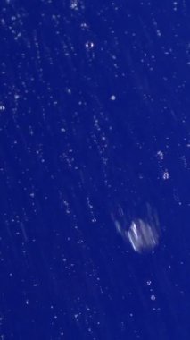 Kabarcıklar doğal ışık altında mavi bir sıvının içinde oluşup yükseliyor. Video, ışık ve kabarcıklar arasında sıvıda yukarı doğru hareket eden etkileşimi gösteriyor..