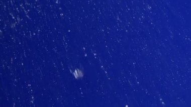 Su damlacıkları katı mavi bir yüzeye çarpar ve dalgalanmalar yaratır. Hava yağmurlu ve sabahın erken saatleri. İnsanlar yakınlarda yağmuru yüzlerinde hissediyor olabilir..