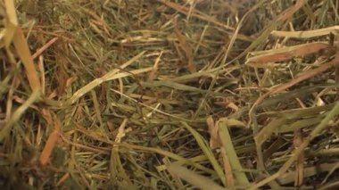 Kaydırıcıyı Kuru Saman Kapanması Üzerine Taşıma, Sıcak Tonlar ile Katmanlı Hasır Derinliği, Düşük Açı Temizleme Açıları Karışık